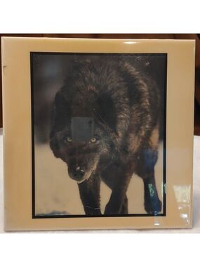 Vintage "Grey Wolf Stalking #626" By Artiles, A.R.T Co.